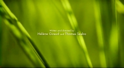 خیلی خیلی کوچک (2) (کابوس پروانه)